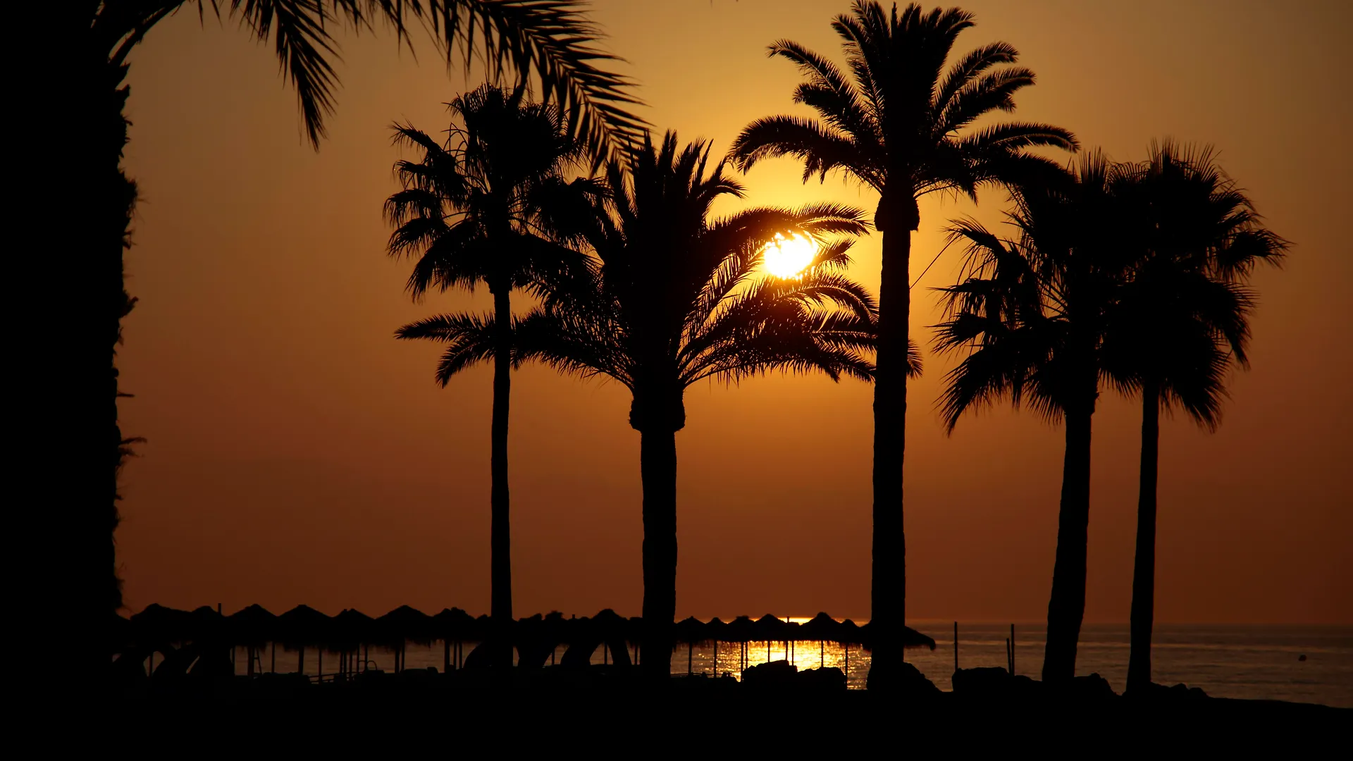 Marconfort Costa del Sol Torremolinos Hotel